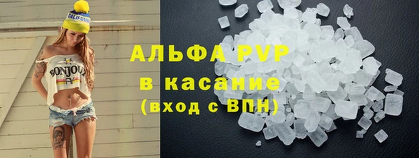 spice Богданович