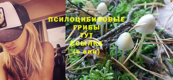 крисы Беломорск