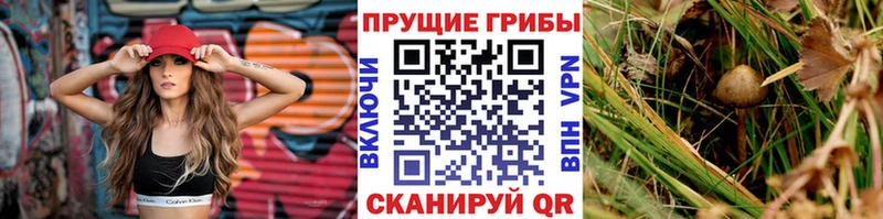 Галлюциногенные грибы мухоморы  Купить  Маркс 